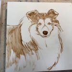 Pet portrait of Keira, the sheltie, in progress