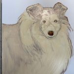 Pet portrait of Keira, the sheltie, in progress