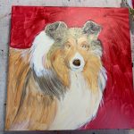 Pet portrait of Keira, the sheltie, in progress